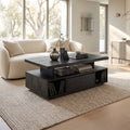 Organic Modern Storage Coffee Table Contemporary Living Room